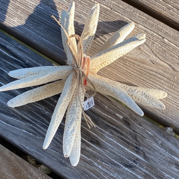 STARFISH set of 3 , GREAT DECOR , looks good ANYWHERE!!🌴🦀🦑 - Picture 5 of 10